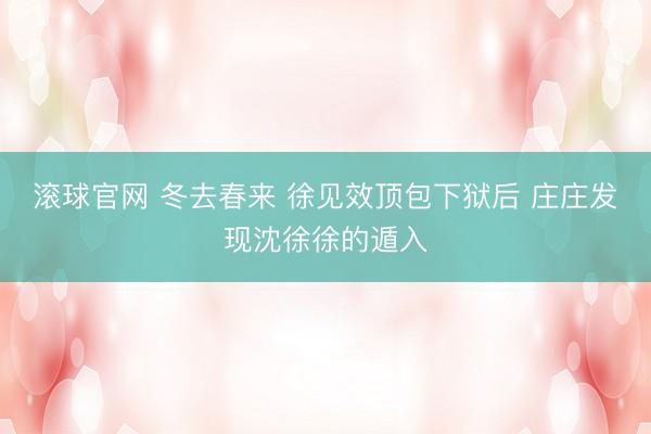 滚球官网 冬去春来 徐见效顶包下狱后 庄庄发现沈徐徐的遁入