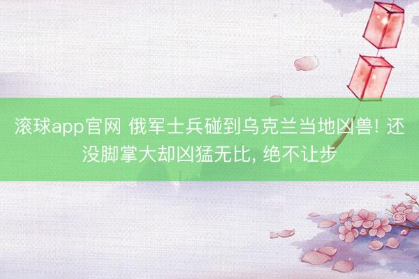 滚球app官网 俄军士兵碰到乌克兰当地凶兽! 还没脚掌大却凶猛无比， 绝不让步